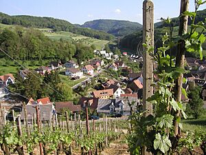 Maisprach vineyard