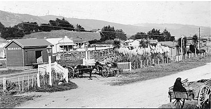 Manakau station in 1910.jpg