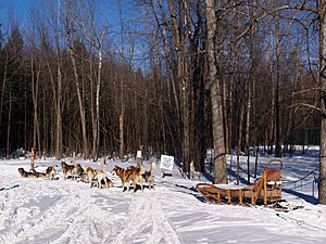 Montebello traineau pour randonnée