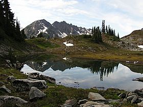 Mount Duckabush