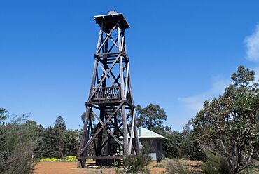 Mount Wells Fire Tower.jpg