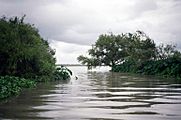 Mouth of Guadalupe River