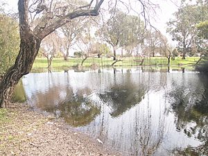 Nora Hughes Park 2, Morley WA