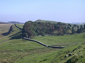 Northumberland National Park.jpg