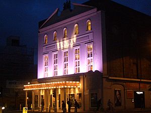 Old vic night