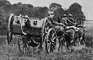 QF13pounderBouncingNYTribune20October1918