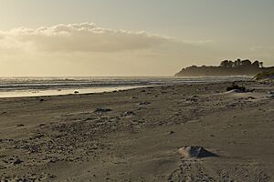 Rarawa Beach morning