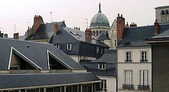 Rooftops of Tours, France