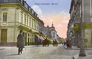 Str. Domneasca