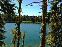 Takhlakh Lake between the Trees