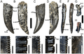 Torvosaurus gurneyi teeth