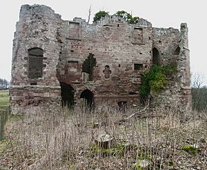 Twizel Castle - geograph.org.uk - 139240