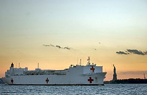 USNS Comfort Statue of Liberty