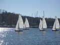 Vanderbilt Sailing Club Homecoming Regatta