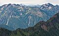 View from Mt. Ellinor