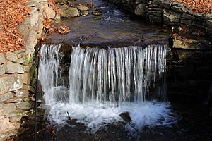 Waterfall on Maple Run 1