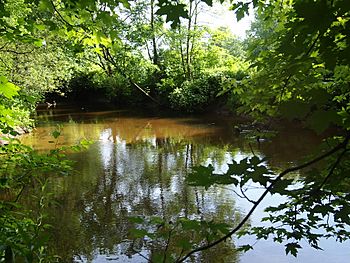 WoodCreekNY-June.JPG