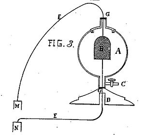 Woodward light bulb