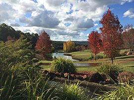 Wungong Regional Park, Western Australia.jpg