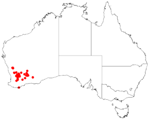 Acacia merinthophoraDistMap591.png