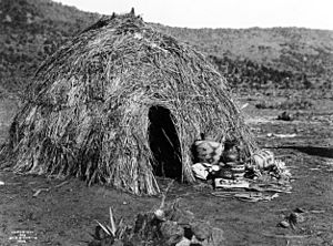 Apache Wickiup, Edward Curtis, 1903