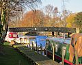 Beccles, rowers