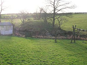 Beith Court Hill view