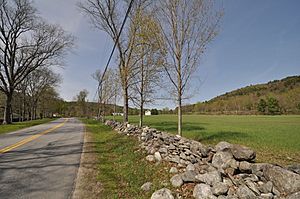 View of the Grassy Brook valley in Brookline