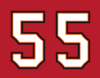 Buccaneers Derrick Brooks 55.png