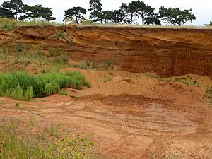 Buckanay Farm Pit, Alderton 4.jpg