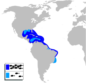 Centropomus undecimalis mapa.svg