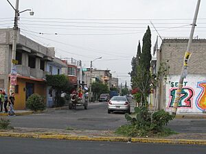 CiudadNezaHorseGarbageTruck