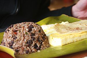 Costa Rican Gallo Pinto