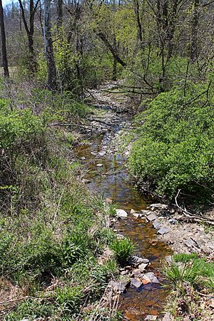 Cox Run looking downstream