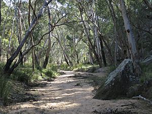 DandryGorge8002033103 0f4a471a4f o