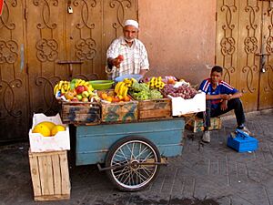 Fez Peddler