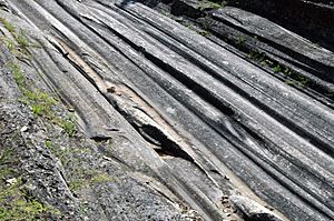 Glacial Grooves State Park, Kelleys Island OH