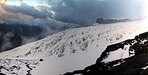 Glacier Castaño Overo 1 Stevage