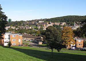 Gleadless Valley view