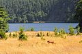 LAKE ADWELL - panoramio