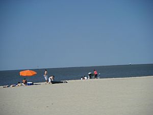 Lewes Beach from Savannah Road