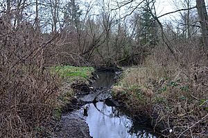 Licton Springs Park