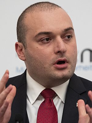 Mamuka Bakhtadze MSC 2019 (cropped).jpg