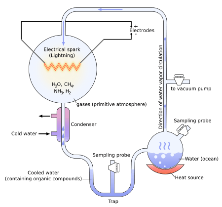 Miller-Urey experiment-en