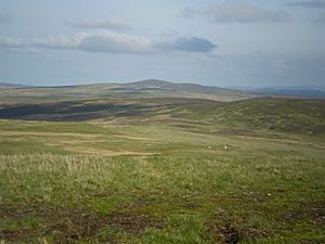 Moel seisiog 2