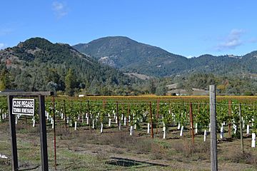 Mount Saint Helena, viewed from Napa Valley.JPG