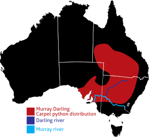 Murray Darling distribution.svg