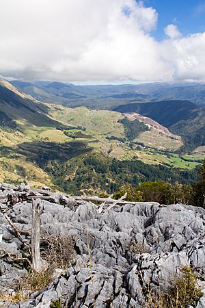 NZ010415 Takaka Hill Walkway 02.jpg