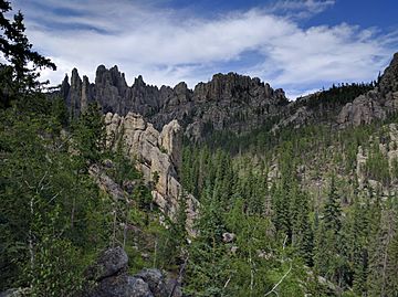 Needles Highway 05.jpg