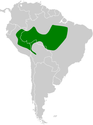 Nonnula ruficapilla map.svg